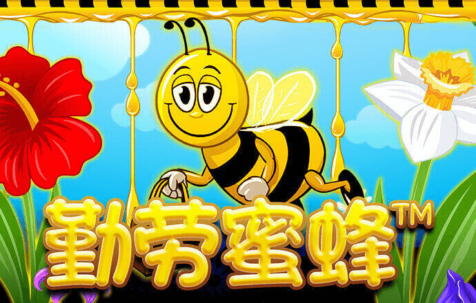 美狮贵宾会官网